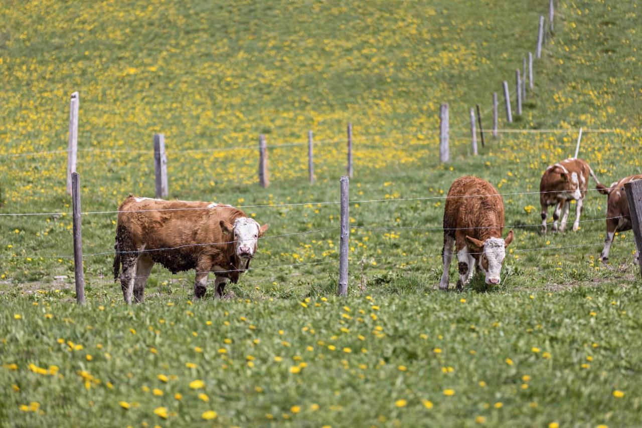 Ferienwohnung Gitschbergblick Terento Bagian luar foto